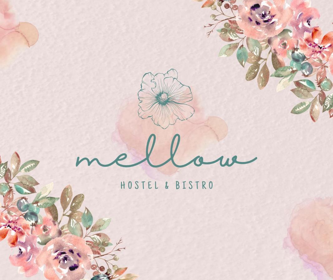 Mellow Ladies Hostel Varkala Eksteriør billede